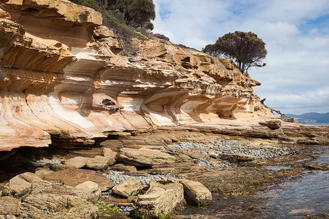 Maria Island Premium Private Photo-oriented Day Tour From Hobart - Tourism Adelaide 0