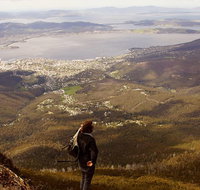 Mt Wellington Half Day Guided Summit Hike - Tourism Adelaide