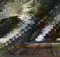 West Coast Wilderness Railway River and Rainforest from Strahan - Tourism Adelaide