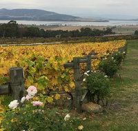 Mona and Wine Experience Tour - Tourism Adelaide