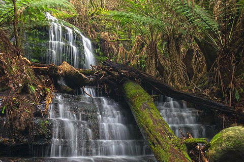 Hobart And Surrounds Photography Workshop - Tourism Adelaide 4