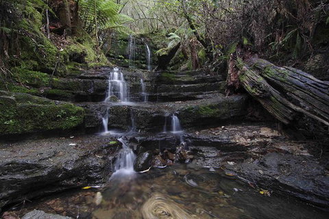 Hobart And Surrounds Photography Workshop - Tourism Adelaide 7