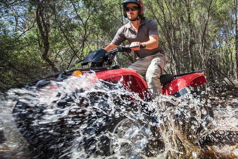 Half-Day Guided ATV Exploration Tour From Coles Bay - Tourism Adelaide 1