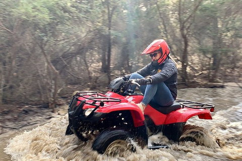 Half-Day Guided ATV Exploration Tour From Coles Bay - Tourism Adelaide 7