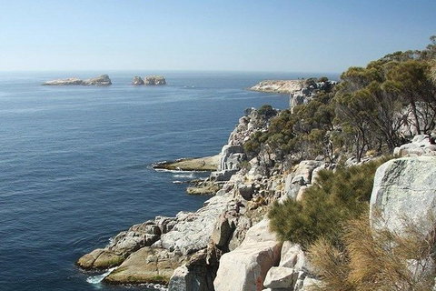 Great Walks Of Australia: 4-Day Freycinet Experience Walk - Tourism Adelaide 10