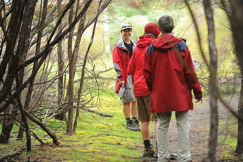 Great Walks Of Australia: 4-Day Freycinet Experience Walk - Tourism Adelaide 7