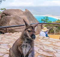 Wineglass Bay  Freycinet NP Full Day Tour from Hobart via Richmond Village - Tourism Adelaide