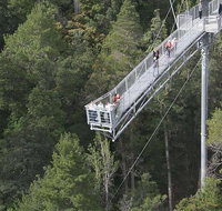 Cruise Ship Special from Hobart Mt Wellington and Tahune AirWalk - Tourism Adelaide