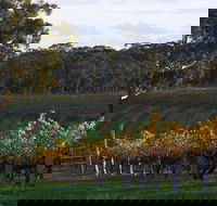 Barossa Valley with Hahndorf Tour from Adelaide - Tourism Adelaide