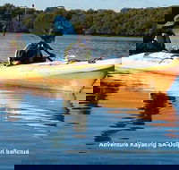 Adelaide Dolphin Sanctuary and Ships Graveyard Kayak Tour - Tourism Adelaide