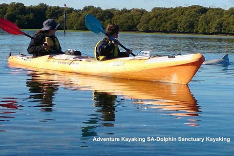 Adelaide Dolphin Sanctuary And Ships Graveyard Kayak Tour - Tourism Adelaide 0