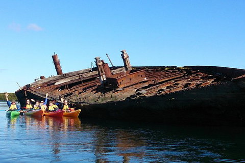 Adelaide Dolphin Sanctuary And Ships Graveyard Kayak Tour - Tourism Adelaide 1