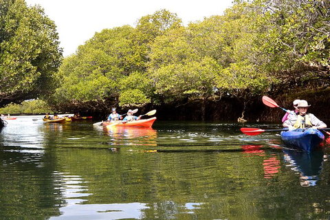 Adelaide Dolphin Sanctuary And Ships Graveyard Kayak Tour - Tourism Adelaide 8