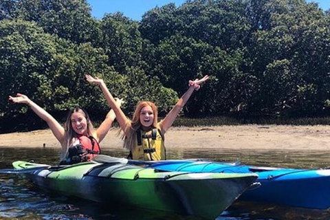 Adelaide Dolphin Sanctuary And Ships Graveyard Kayak Tour - Tourism Adelaide 4