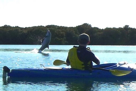 Adelaide Dolphin Sanctuary And Ships Graveyard Kayak Tour - Tourism Adelaide 2
