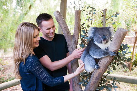 Adelaide Central Market With Cleland Wildlife Park And Mount Lofty Summit - Tourism Adelaide 1