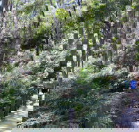 Self-Guided Waterfall Gully to Mount Lofty Hike from Adelaide - Tourism Adelaide