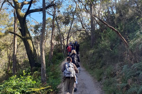 Mount Lofty Hike And Cleland Wildlife Park Day Trip From Adelaide - Tourism Adelaide 0