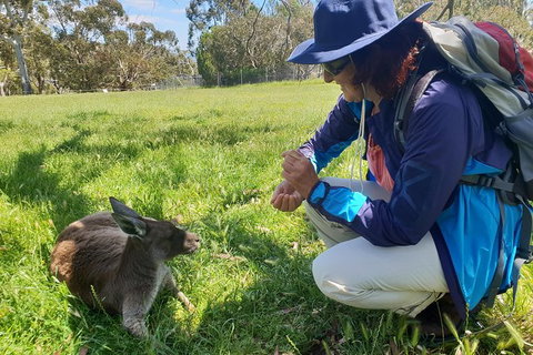 Mount Lofty Hike And Cleland Wildlife Park Day Trip From Adelaide - Tourism Adelaide 1