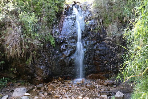 Mount Lofty Hike And Cleland Wildlife Park Day Trip From Adelaide - Tourism Adelaide 7