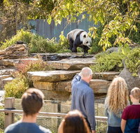 Adelaide Zoo Behind the Scenes Experience Panda and Friends Tour - Tourism Adelaide