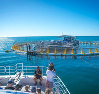 2 Hour Aquarium Tour - Tourism Adelaide