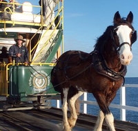 Full-Day Tour in South Australia Highlights - Tourism Adelaide