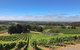 Small-Group Full-Day Adelaide Hills And Hahndorf Wine Tour From Adelaide - thumb 2