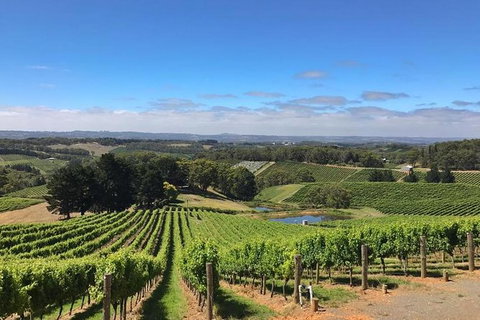 Small-Group Full-Day Adelaide Hills And Hahndorf Wine Tour From Adelaide - Tourism Adelaide 2