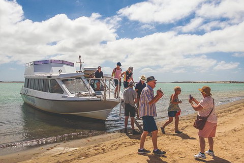Coorong Discovery Cruise - Tourism Adelaide 8