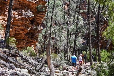 6-Day Eyre Peninsula & Flinders Ranges Adventure Tour - Tourism Adelaide 12