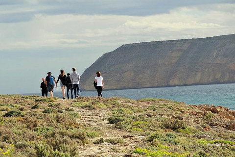 6-Day Eyre Peninsula & Flinders Ranges Adventure Tour - Tourism Adelaide 4