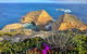 6-Day Eyre Peninsula & Flinders Ranges Adventure Tour - thumb 10