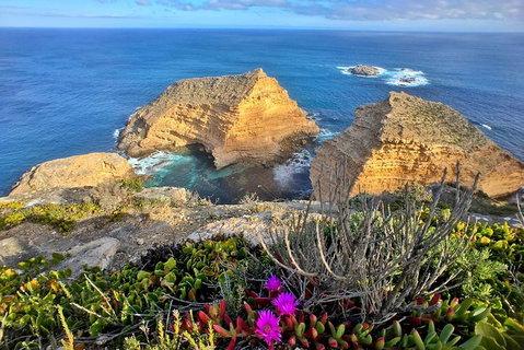 6-Day Eyre Peninsula & Flinders Ranges Adventure Tour - Tourism Adelaide 10