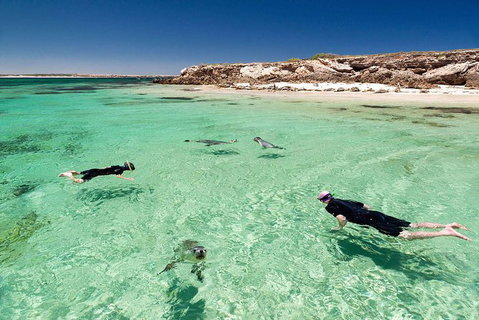 6-Day Eyre Peninsula & Flinders Ranges Adventure Tour - Tourism Adelaide 6