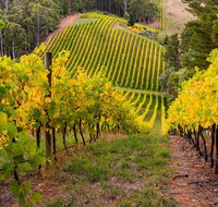 Private Adelaide Hills Wine Region Tour - Tourism Adelaide