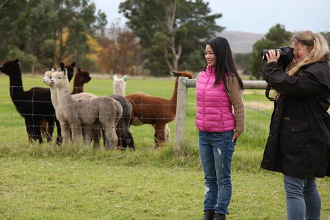 Alpaca Farm 2 Hour Tour - Tourism Adelaide 1