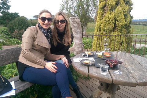 McLaren Vale Intimate Winery Tour By Private Limo - Tourism Adelaide 1
