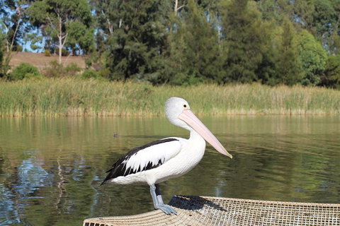 Private Arrival Transfer From Adelaide Airport To Adelaide City - Tourism Adelaide 1