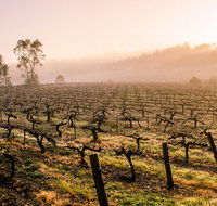 Barossa Valley Private Tour It's your tour the way you want it. - Tourism Adelaide