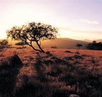 Adelaide To Coober Pedy 7 DAY SMALL GROUP 4WD SAFARI - Tourism Adelaide