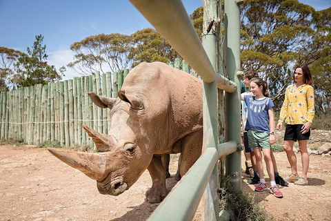 Rhino Interactive And A Day At Monarto Safari Park - Tourism Adelaide 0