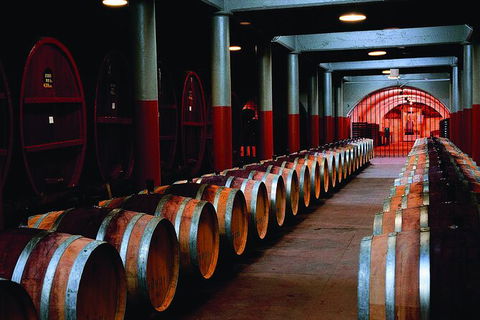 Penfolds Magill Estate Iconic Experience - Tourism Adelaide 3