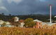 Penfolds Magill Estate Iconic Experience - thumb 2