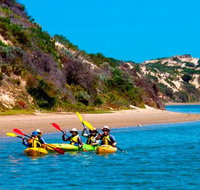 Half-Day Kayaking Tour in Coorong National Park - Tourism Adelaide