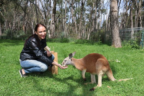 Cleland Wildlife Park Tour From Adelaide Including Mount Lofty Summit - Tourism Adelaide 1