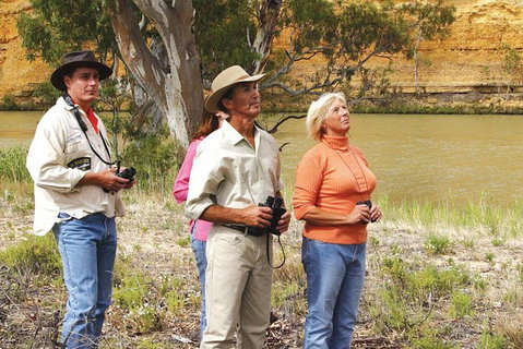 4-Night Murray River Cruise By Classic Paddle Wheeler PS Murray Princess - Tourism Adelaide 1