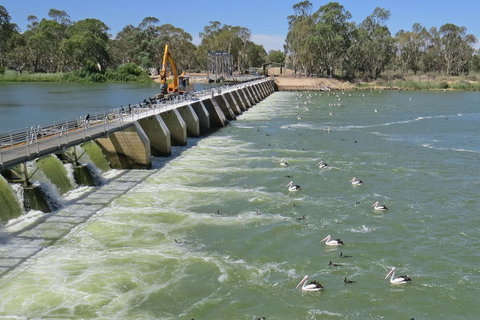 4-Night Murray River Cruise By Classic Paddle Wheeler PS Murray Princess - Tourism Adelaide 7