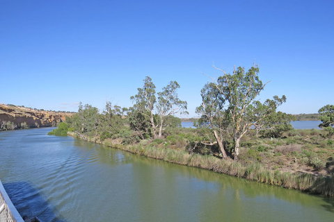 4-Night Murray River Cruise By Classic Paddle Wheeler PS Murray Princess - Tourism Adelaide 8
