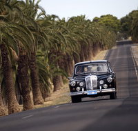 Private Barossa Valley Winery Tour by Classic 1962 Daimler from the Barossa Valley - Tourism Adelaide